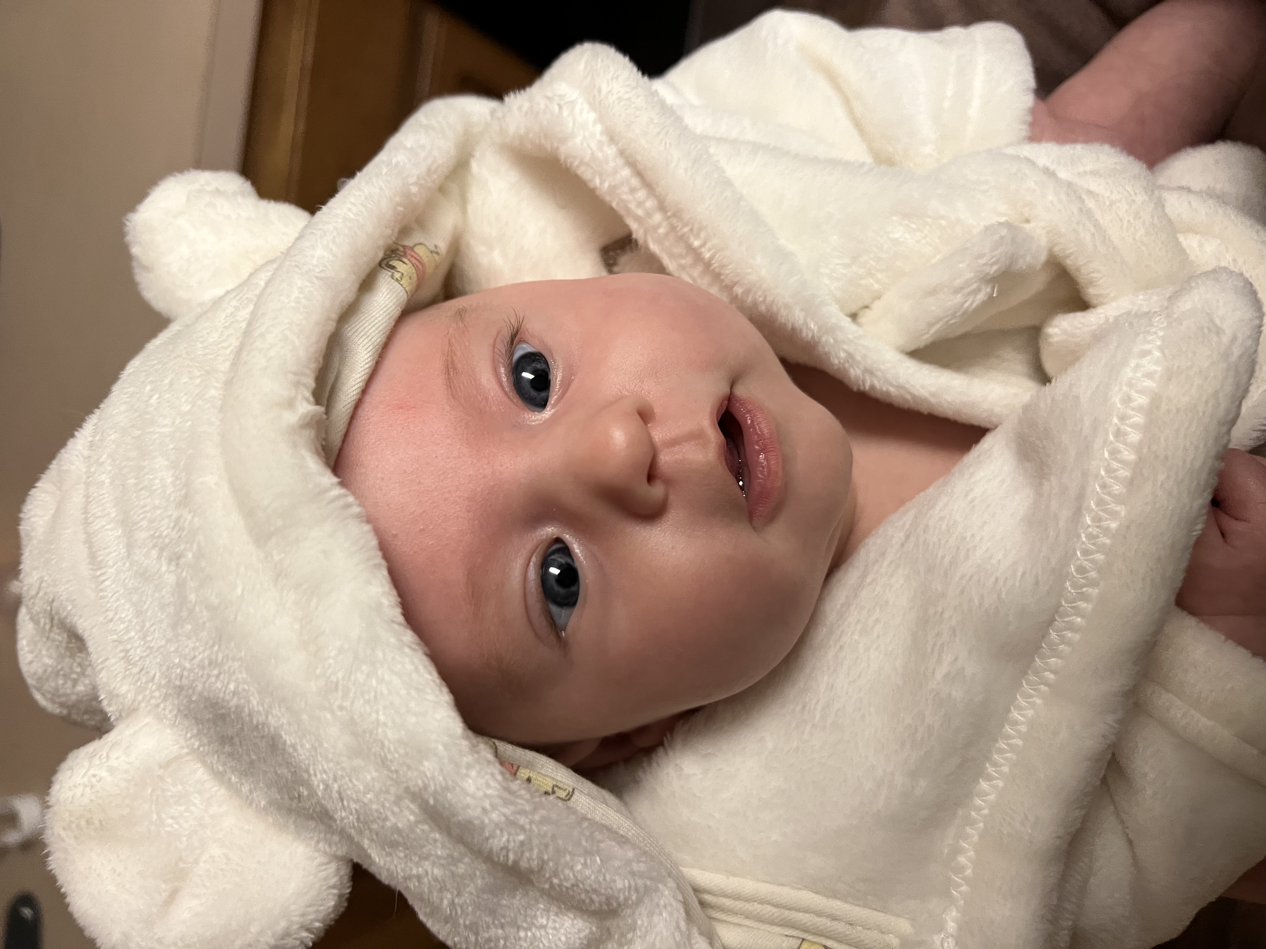 Newborn Delilah wrapped in white, peaceful and beautiful
